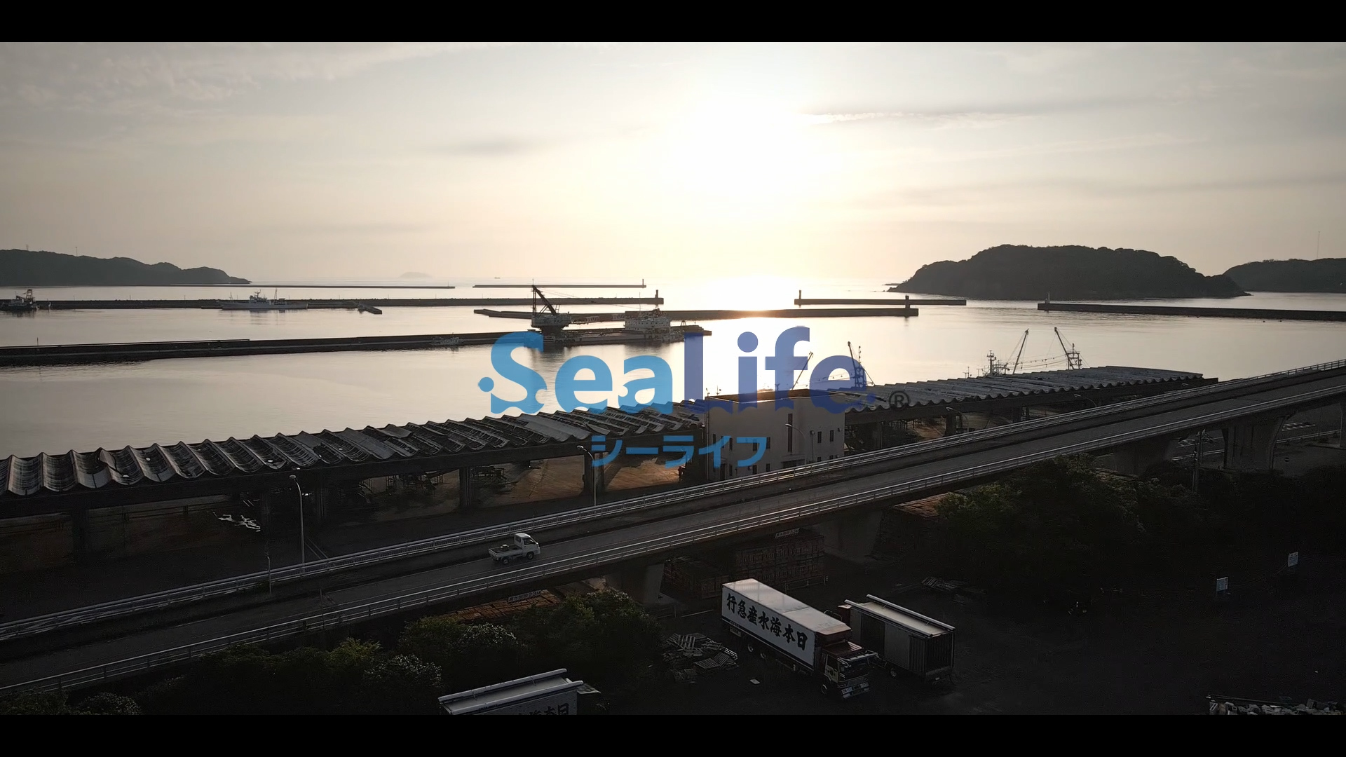 Sea Life Market Version プロモーション制作会社 Worldutility株式会社