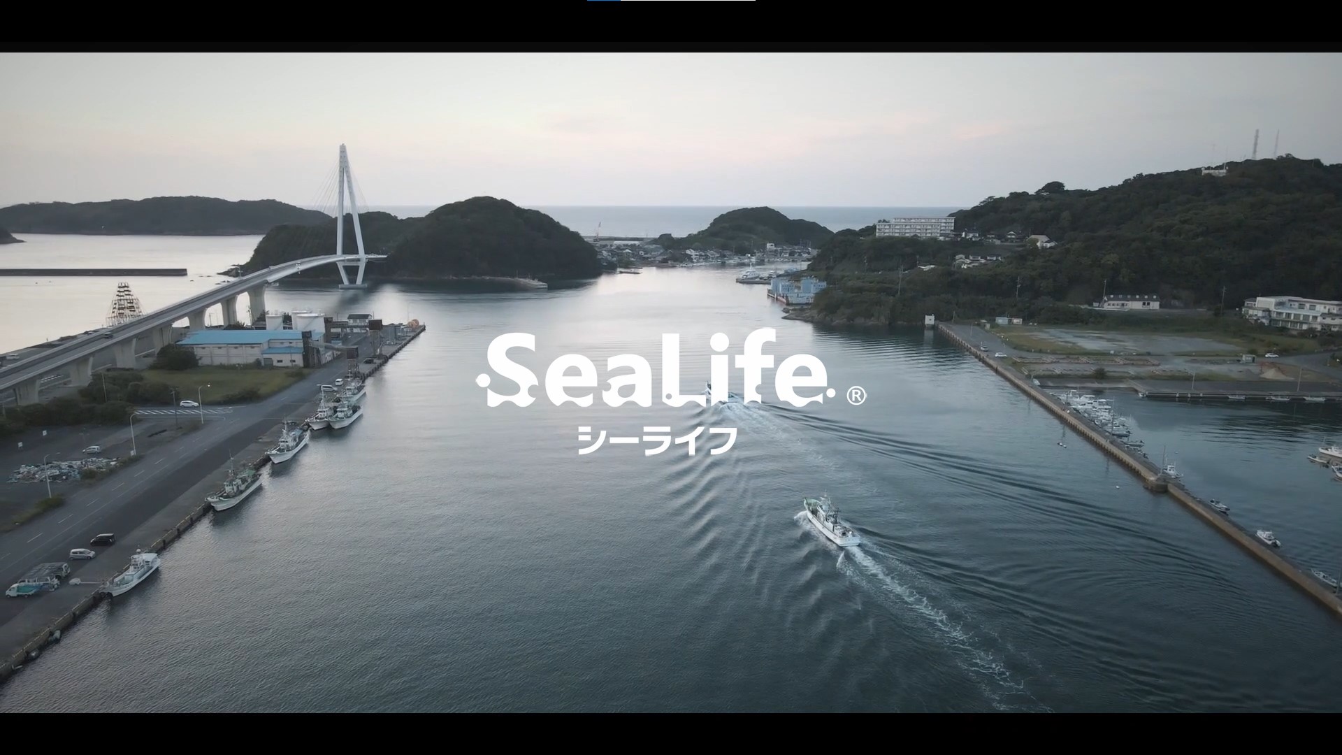 Sea Life 240second Version プロモーション制作会社 Worldutility株式会社